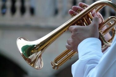 Blask trąbki. Koncert przy Podleśnej