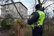 Czym palisz w piecu? Strażnicy kontrolują 