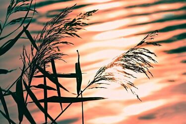 Tragedia w Filipowie. Auto wjechało do stawu