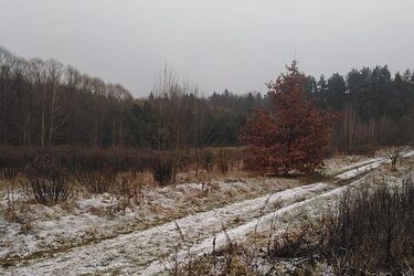 Przepis na szklankę na drogach