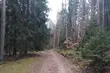 Pochmurnie i wietrzenie. A na termometrach 2 stopnie