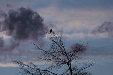 Orkan do nas nie doszedł