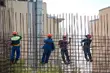 Ilu Białorusinów i Ukraińców pracuje w województwie podlaskim?