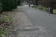 Co z Parkiem Planty? Pomysł na zmiany rzuć w ankiecie