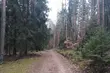 W piątek spodziewane opady deszczu ze śniegiem