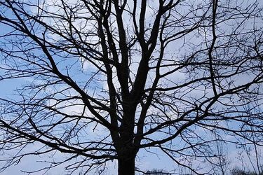 Jaka pogoda czeka nas w ostatni wtorek lutego?