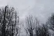 Środa Popielcowa pochmurna i deszczowa