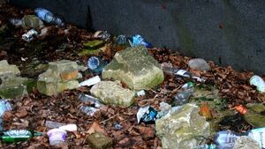 Widok ze szkoły przy ul. Kamiennej: butelki, pety, prezerwatywy. Co zrobiła straż miejska?