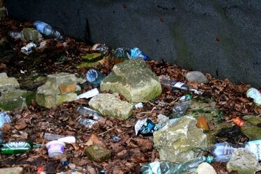 Widok ze szkoły przy ul. Kamiennej: butelki, pety, prezerwatywy. Co zrobiła straż miejska?