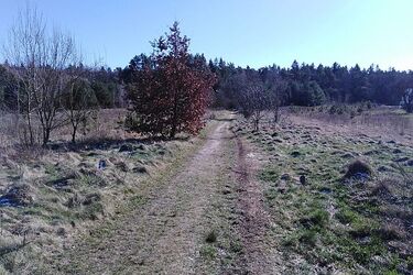 Ile stopni zanotują termometry 17 marca?