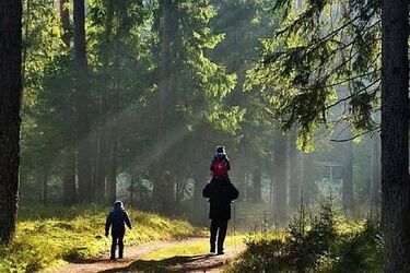 Czy spacer po lesie w czasie epidemii jest bezpieczny?