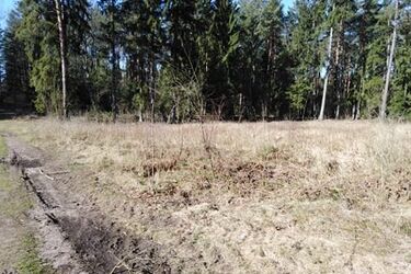 Dużo słońca w dzień, a przymrozki w nocy