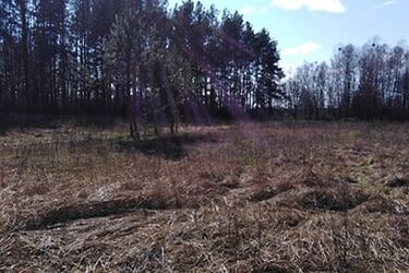 Chłodno, za to z dużą ilością promieni słonecznych