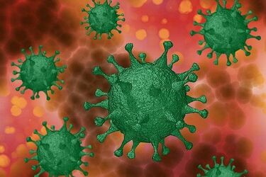 7. przypadek zakażenia COVID-19 w Podlaskiem i aż 57 w całym kraju