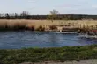 Bezchmurny czwartek w stolicy Podlasia