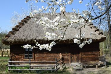 Jak w skansenie rozkwita wiosna?