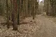 Powoli zbliżamy się do końca marca
