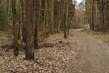 Powoli zbliżamy się do końca marca