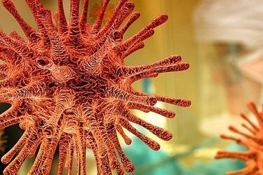 79 nowych przypadków zakażenia koronawirusem, w tym z Podlaskiego. Zmarła kolejna osoba