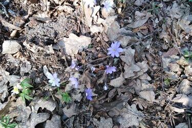 Słonecznie, ale chłodno