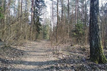 Jaka pogoda czeka nas we wtorek 31 marca 2020 roku?