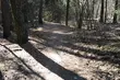 Dzień prima aprilis potrwa 13 godzin