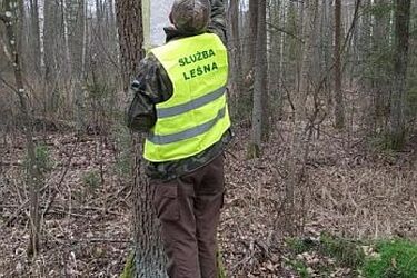 Nowe oznakowania dojazdów pożarowych