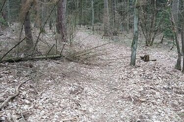 Pogoda na pierwszy weekend kwietnia