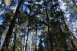 Czuć wiosnę w powietrzu. Zapowiada się pogodny poniedziałek