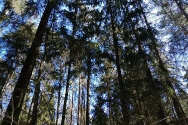 Czuć wiosnę w powietrzu. Zapowiada się pogodny poniedziałek