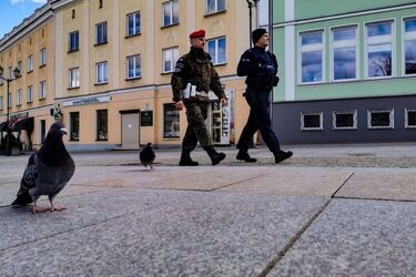 Łamanie "epidemicznych"  zakazów. Sypie się ponad 100 mandatów na dobę