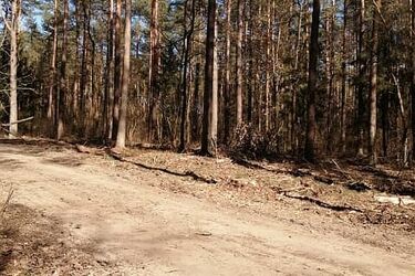 Dużo promieni słońca przez cały dzień 