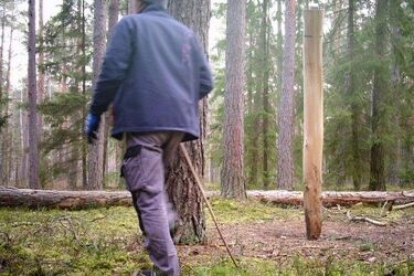 Ukradł fotopułapkę. Wpadł, bo zrobiła mu zdjęcie