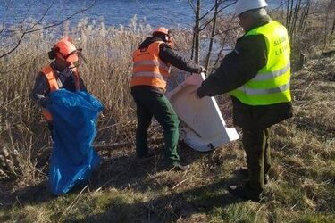 Jak długo będzie rozkładać się szklana butelka pozostwiona w lesie?