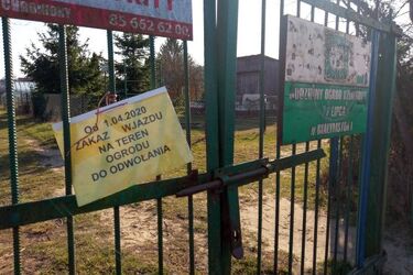 Odpoczynek na działce rekreacyjnej - wolno?