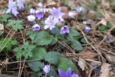 Trochę chmur, więcej słońca. W końcu mamy wiosnę