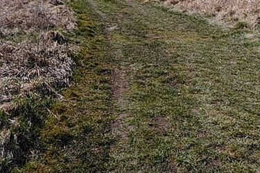 Deszczowy środek tygodnia