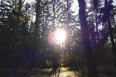 Słońce będzie przebijać się zza chmur, ale wrócą przymrozki