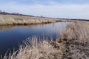 Pochmurnie, z opadami deszczu. Jest szansa na przejaśnienia?