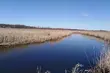 Cieplej i bez opadów, ale wietrznie