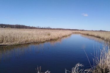 Cieplej i bez opadów, ale wietrznie