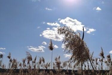 Spora szansa na przejaśnienia. Dokuczliwy może być jedynie wiatr