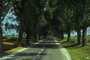 Mamy gorsze drogi niż… afrykańska Namibia