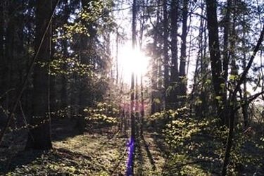 Temperatura podskoczy do 18 stopni