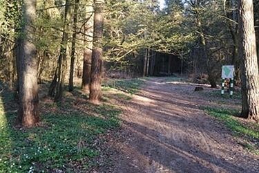 Lasy znów otwarte, ale na jak długo? Mamy wysoki poziom zagrożenia pożarowego