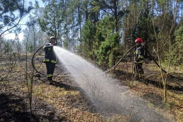 Kolejny pożar lasu. Dostrzegły go dromadery lecące nad Biebrzę