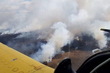 To jedne z najpiękniejszych zakątków w kraju. Od kilku dni trwa walka o ich uratowanie