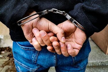 Wpadł działkowy włamywacz. Usłyszał 14 zarzutów