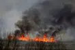 Piosenka dla płonącej Biebrzy. Spontaniczna akcja z potrzeby serca [WIDEO]