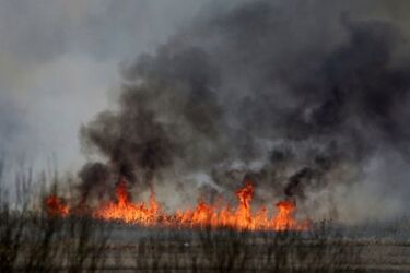 Piosenka dla płonącej Biebrzy. Spontaniczna akcja z potrzeby serca [WIDEO]